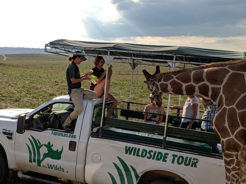 Listen for the Stories Behind the Animals