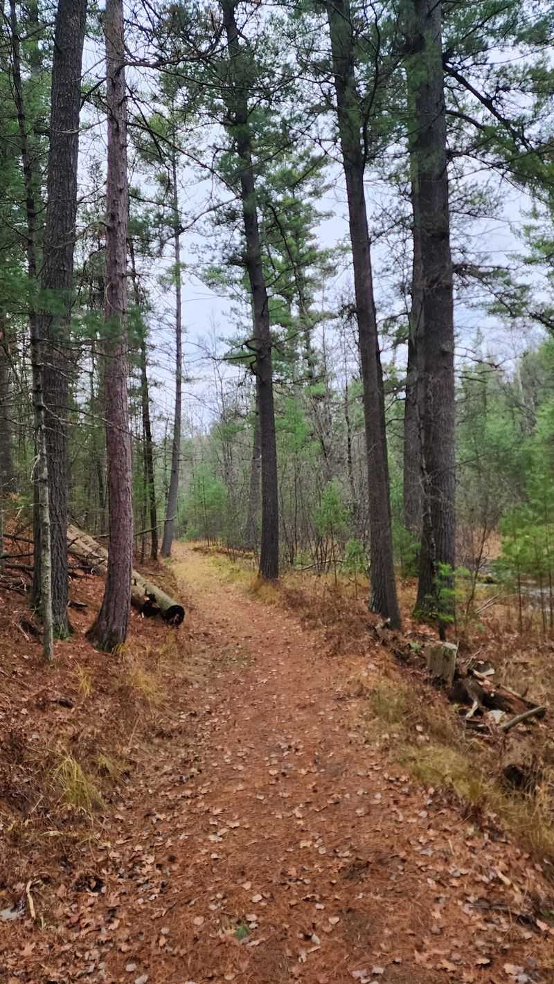 Pine Scent and Trail Time Help Stretch Leisure Dollars
