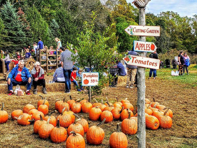 Solebury Orchards, New Hope, Bucks County