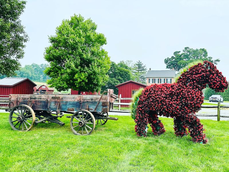 Cherry Crest Adventure Farm, Ronks, PA
