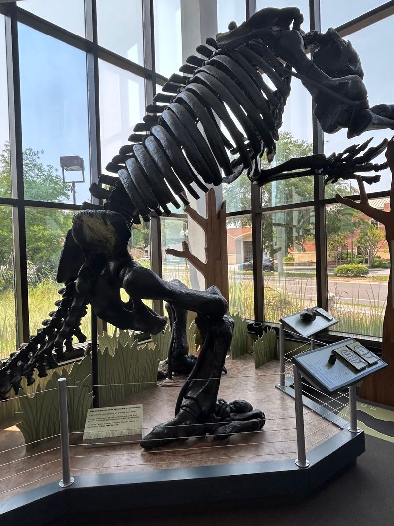 Cape Fear Museum of History and Science