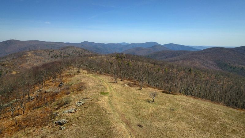 Step From Forest Into Meadow on Cole Mountain