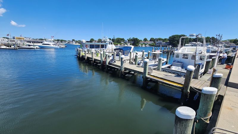 Grab A Harbor Seat And Watch The Ferries Roll In