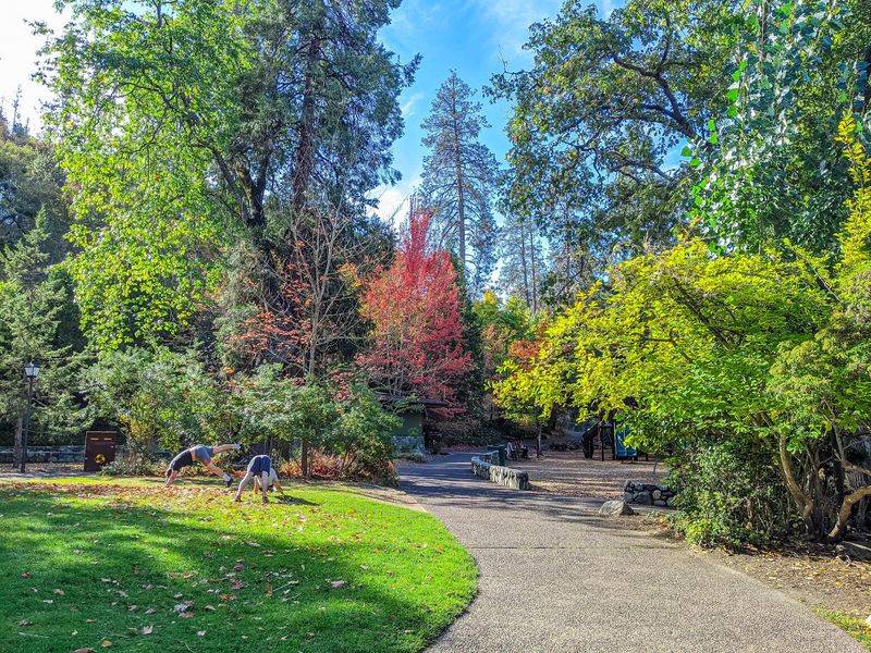 The Southern Oregon Town With A Free Spirit All Its Own