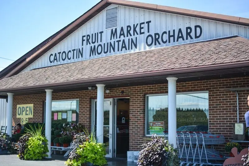 Catoctin Mountain Orchard