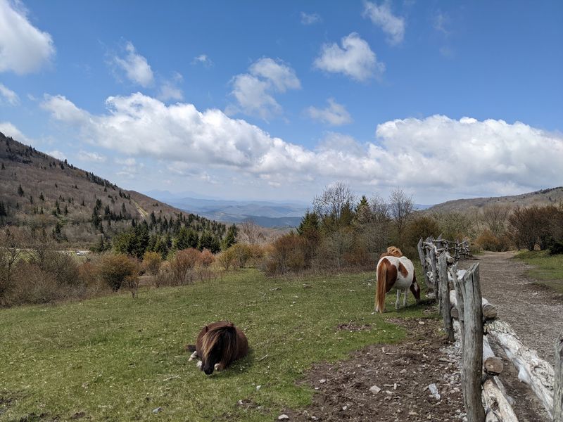 Remember That This Is Mountain Wilderness, Not a Petting Zoo