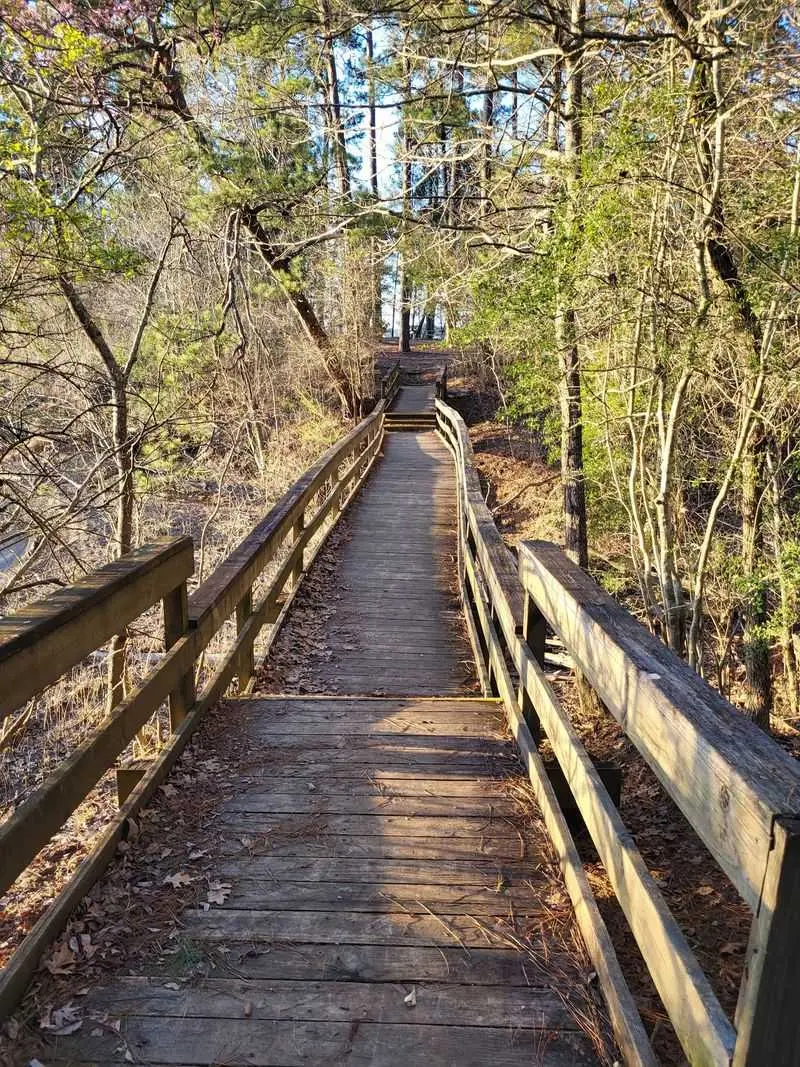 Trade a Summit for a Lakeside Forest at Lake Livingston