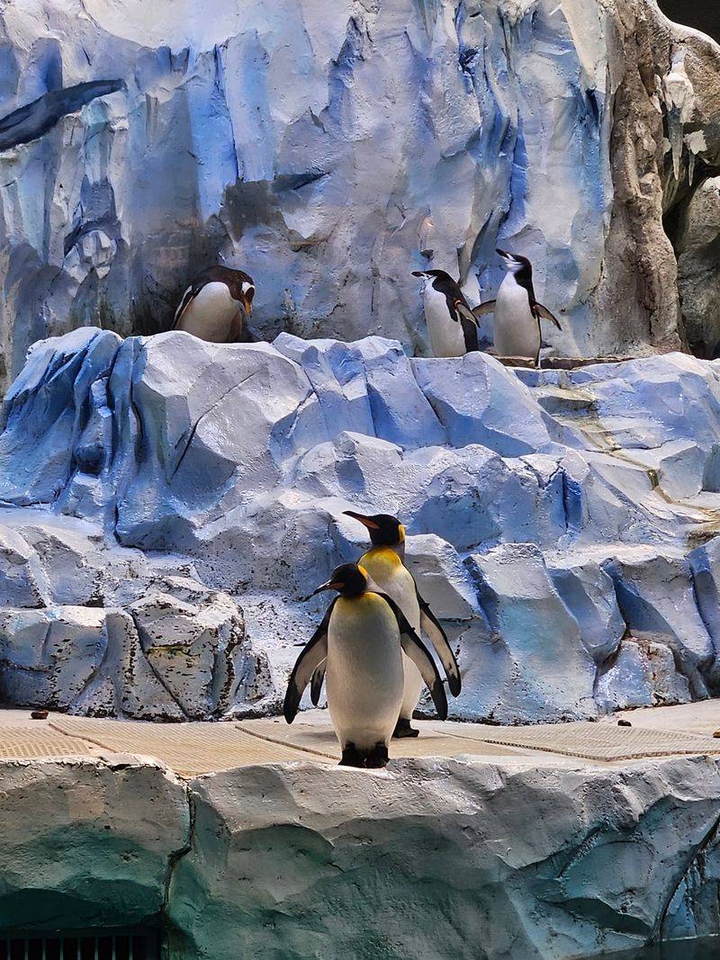 Five Species Means Every Kid Gets To Pick A Favorite