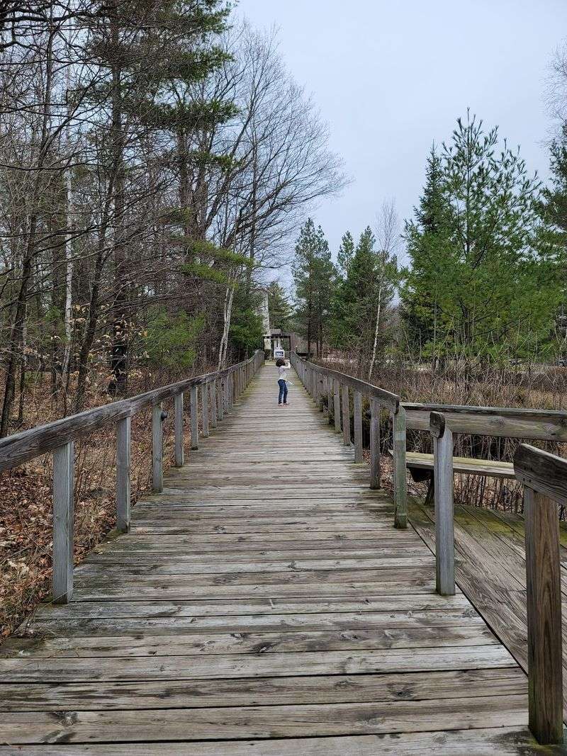 The Walk In Through The Woods Sets The Mood