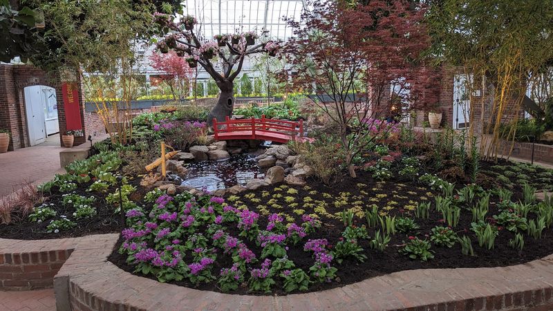 Flower Shows That Refuse To Stay The Same