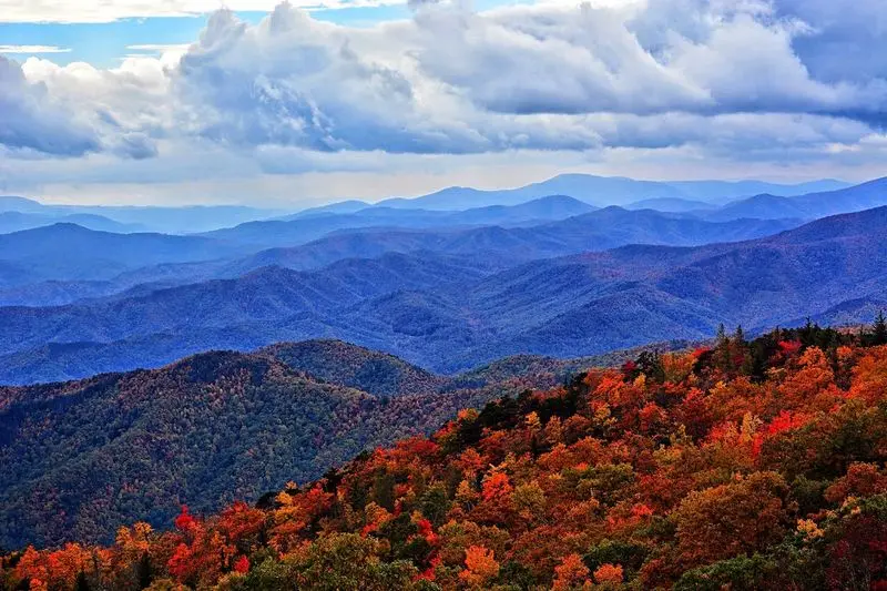 Mount Mitchell State Park