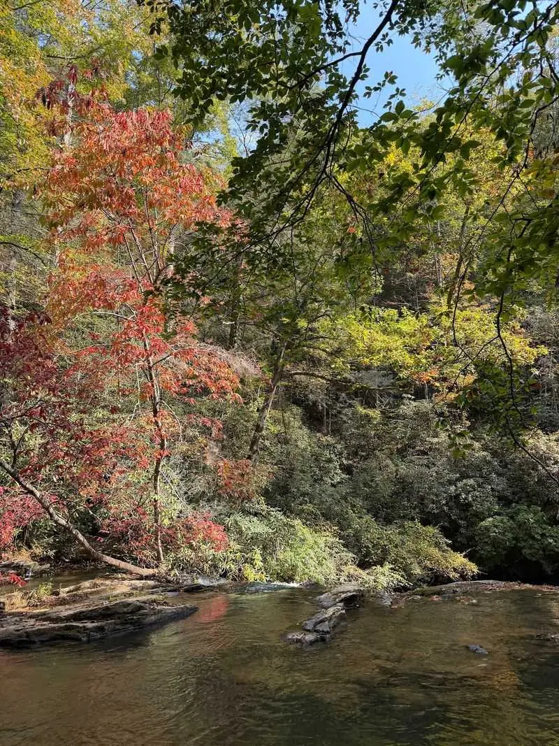Bring A Towel, Because The Creek Is Basically Inviting You In