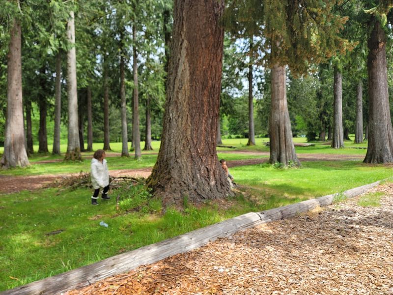 The Loggers' Jubilee And Its Summer Buzz