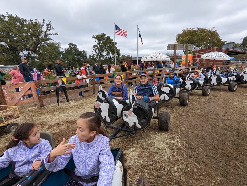 P-6 Farms - Houston's Best Pumpkin Patch & Fall Festival