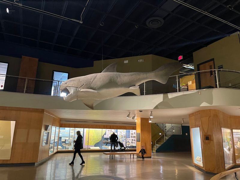 Leave Room for a Tour or Special Exhibition