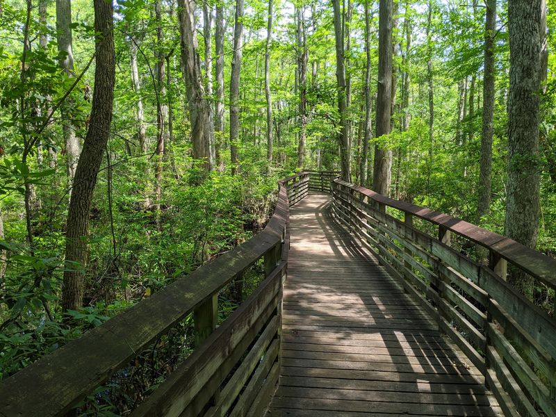 Turn Wildlife Watching Into a Tiny Mission