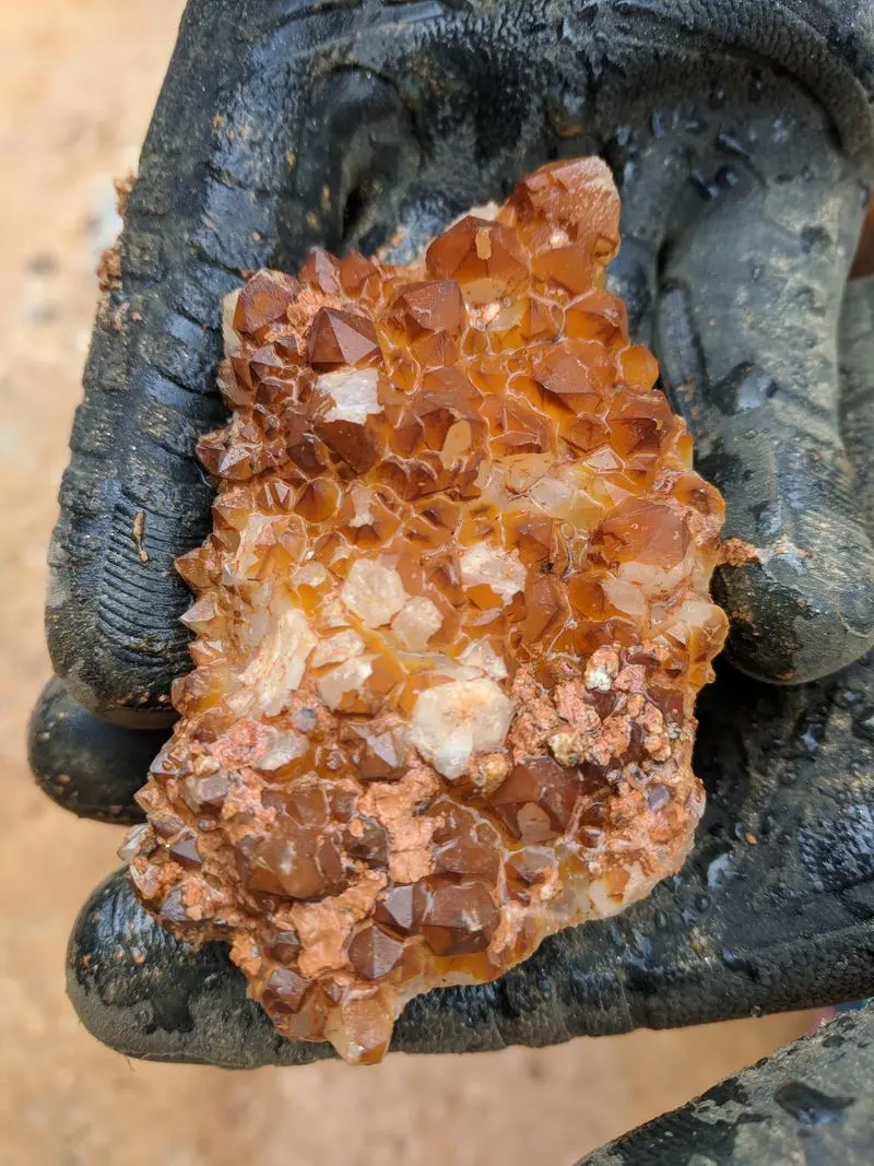 Turn Every Find into a Small Science Lesson