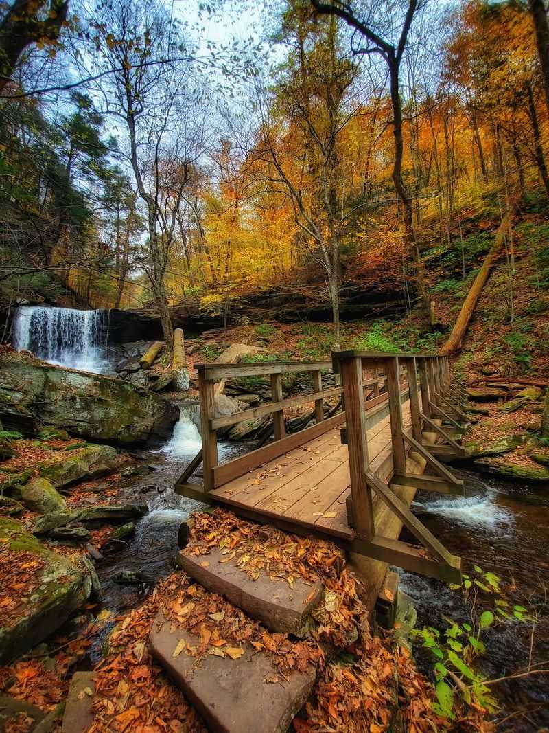 Watch the Woods Change With the Season