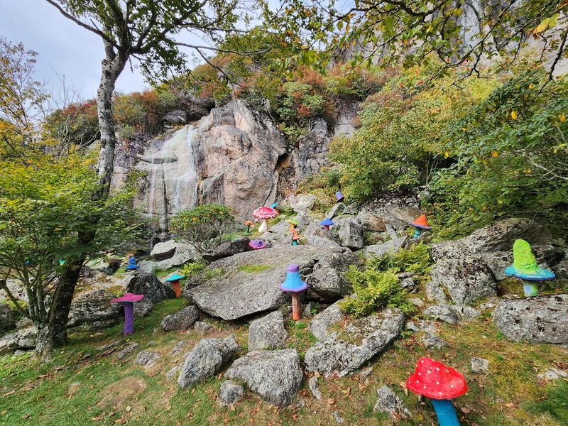 Explore the Park's Fascinating History