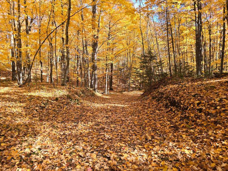 Find the Hemlock Hush on Raven Trail