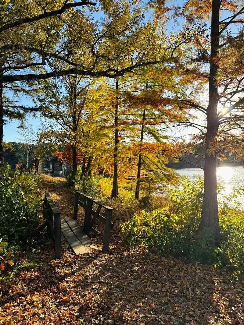 Let the Leaves Set the Pace at Daingerfield State Park
