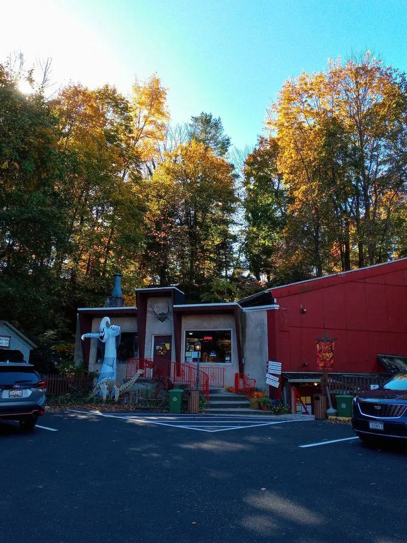Browse a Roadside Time Capsule