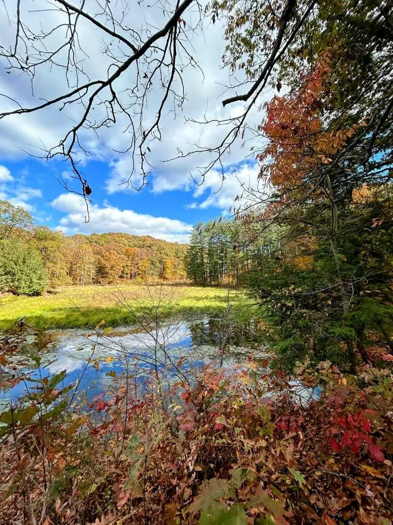 Lake Hope State Park and Athens, Zaleski and Athens