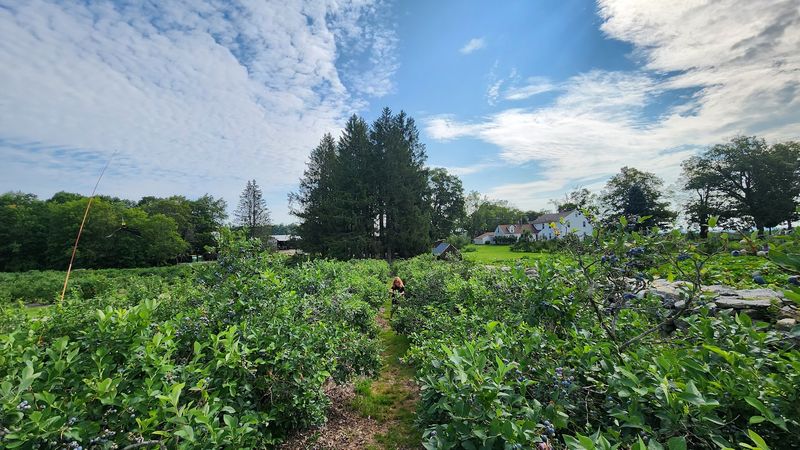 Burn Off A Slice On The Trails And Disc Golf Course