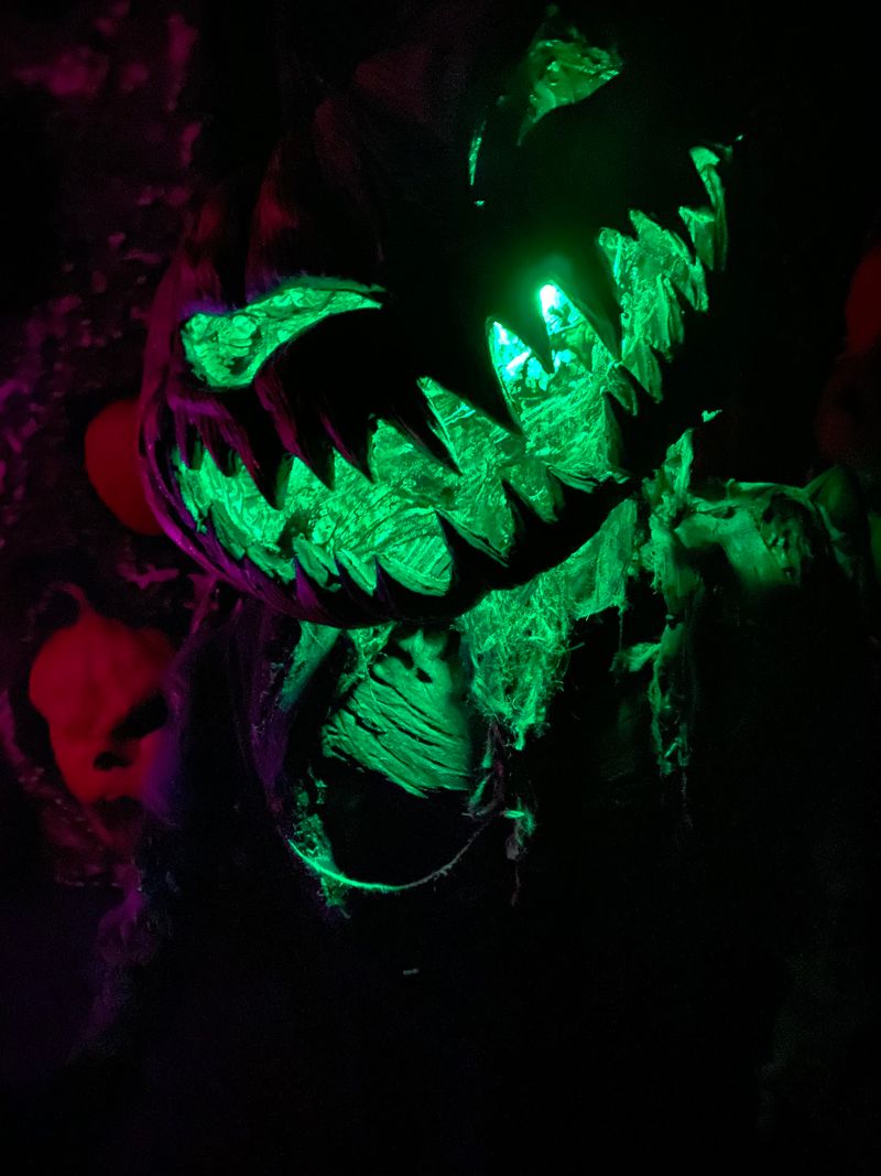 Creepywoods Haunted Forest, White Marsh, MD