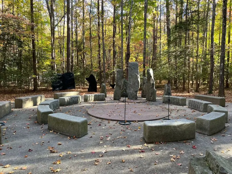 A Woodland Art Walk Near Solomons That Feels Like A Secret