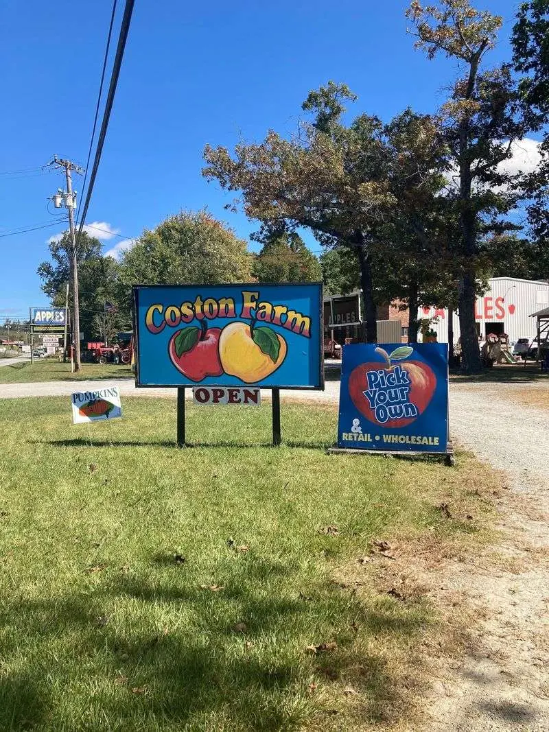 Coston Farm & Apple House
