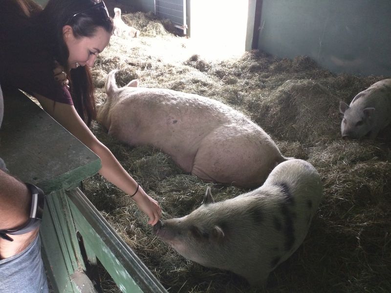 Tiny Hands, Big Snouts, And One Very Happy Feeding Line
