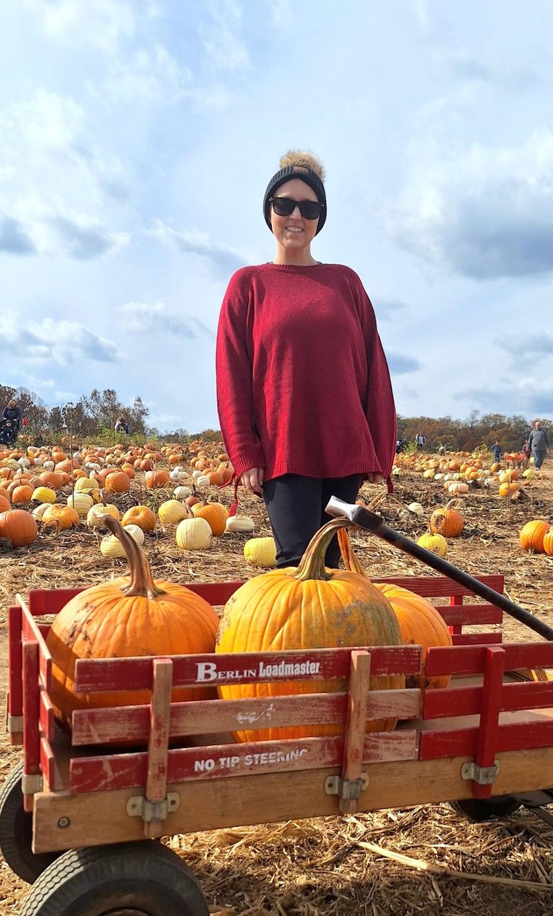 Pick Your Own Pumpkin From A Huge Fall Field