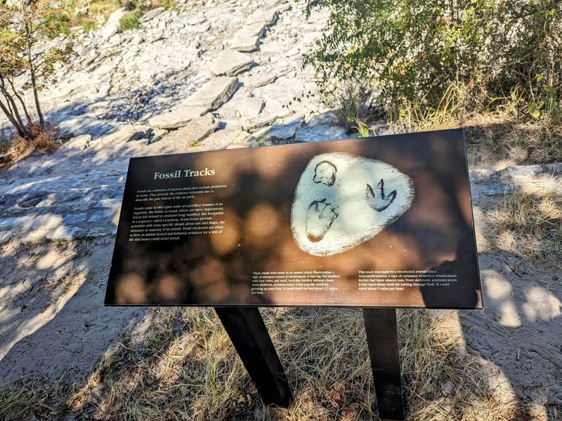 Find Ancient Clues at the Main Track Site