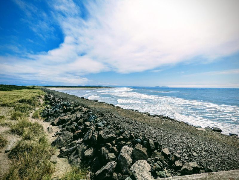 Elk Sightings Give The Coastline Some Serious Competition