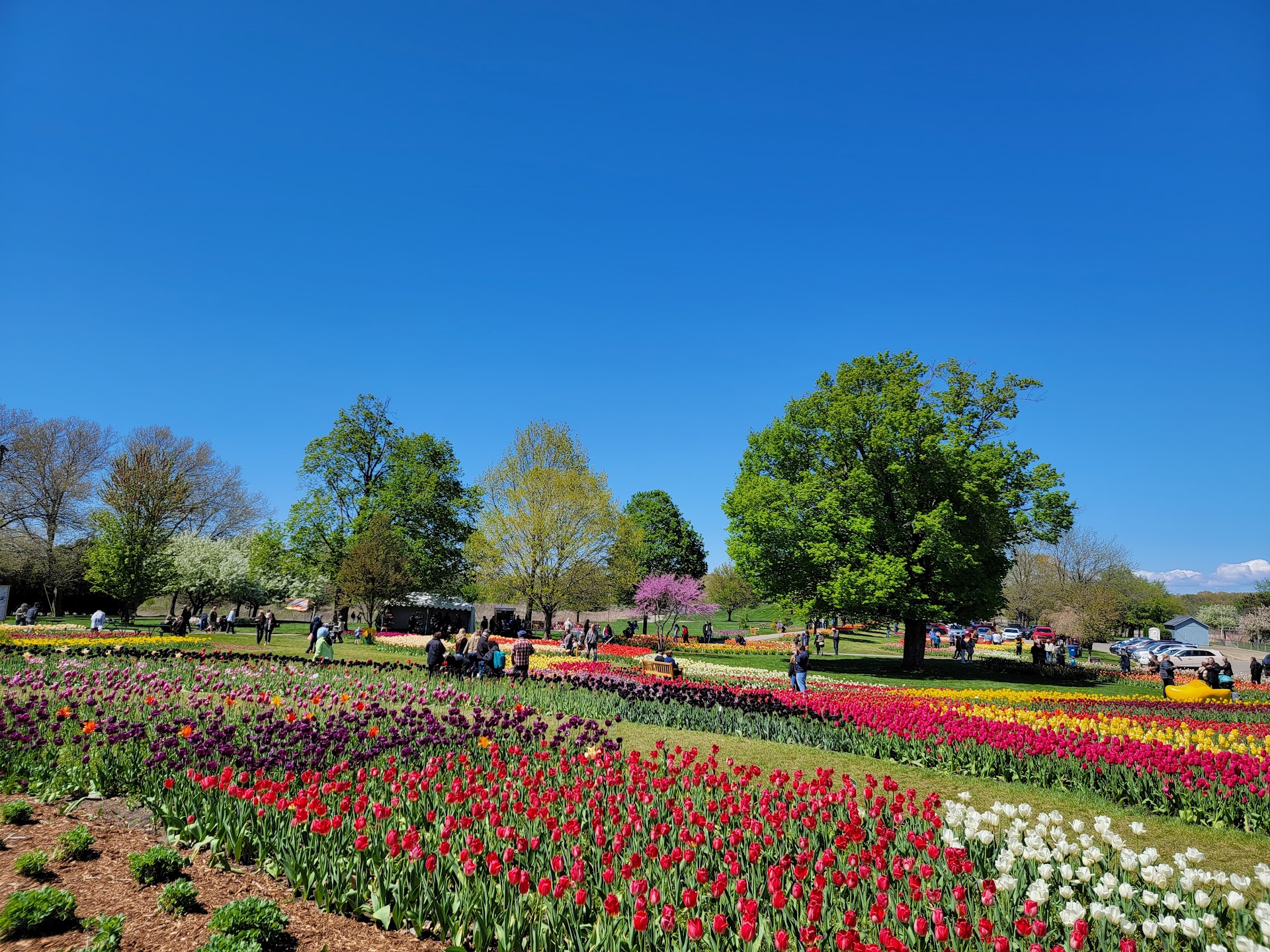 You Can Wander Through Over 850 Kinds Of Tulips