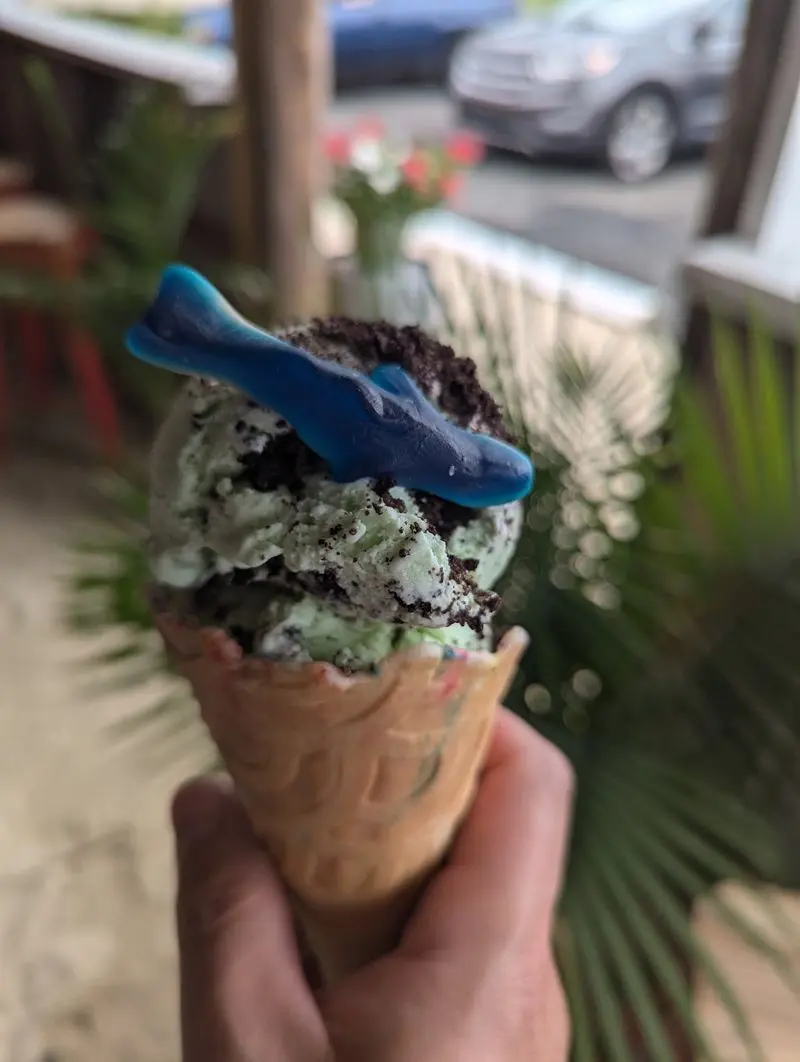 Save Room, Because Ice Cream Waits Around The Side