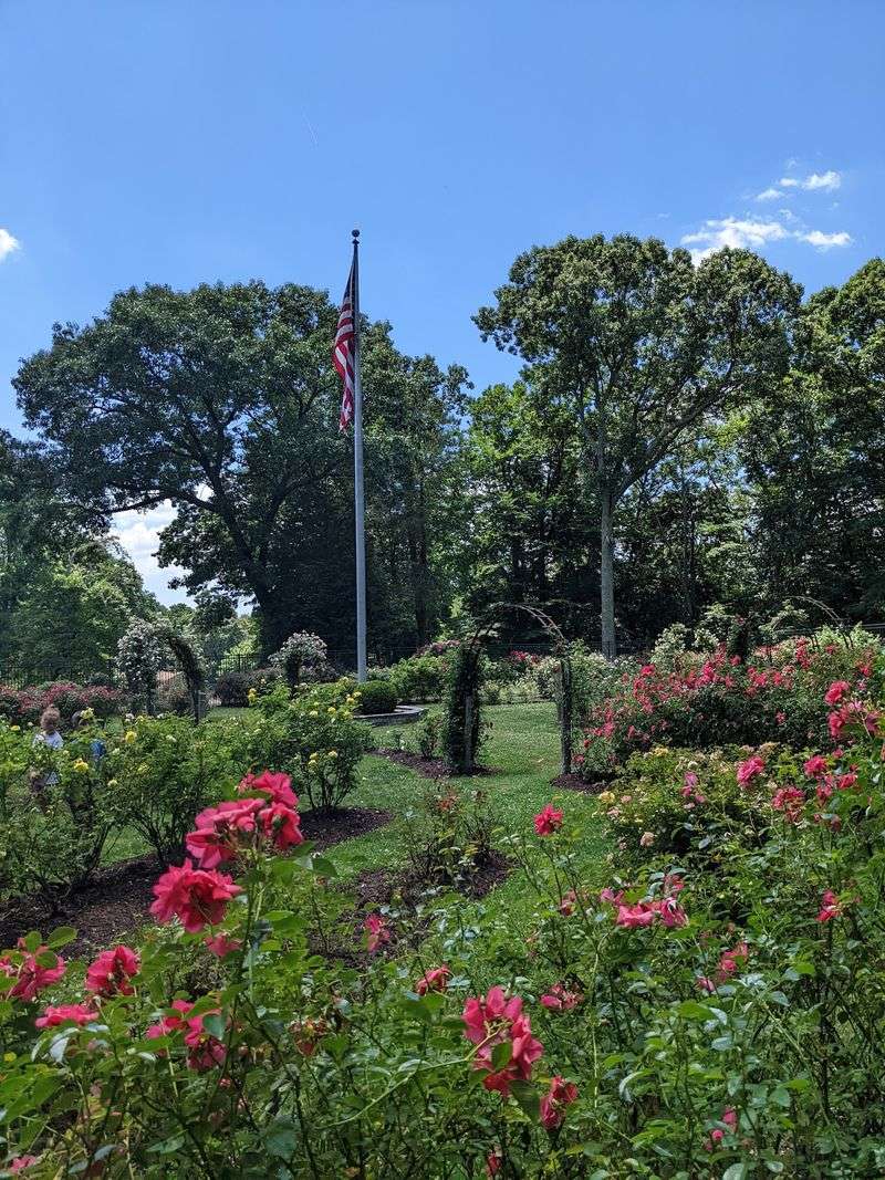 Thousands Of Roses Are Waiting For You On A Gentle Hillside