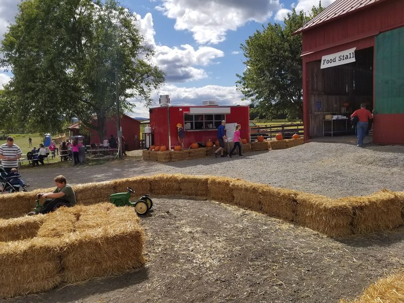 Wayside Farm Fun