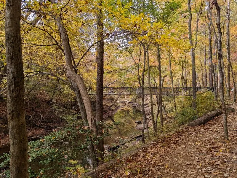 William B. Umstead State Park - Raleigh