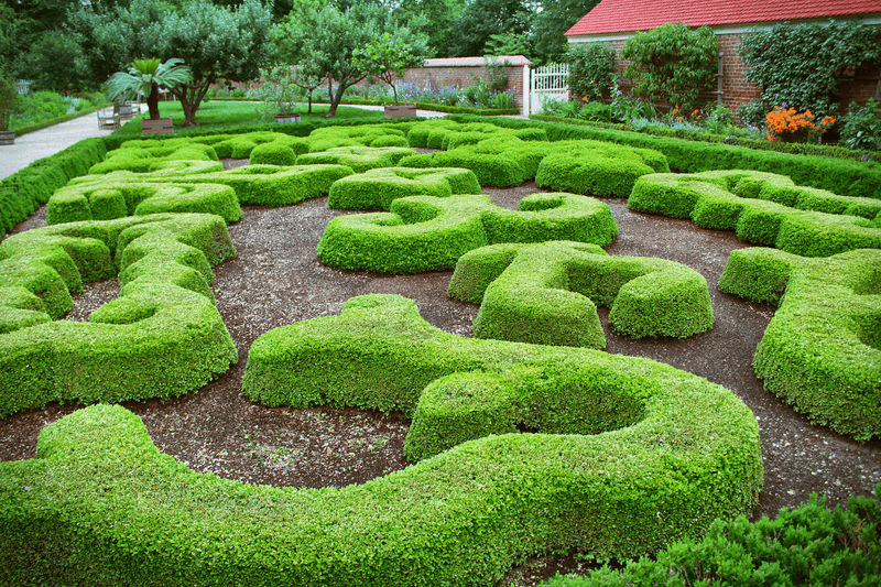 Follow the Color Into the Upper Garden
