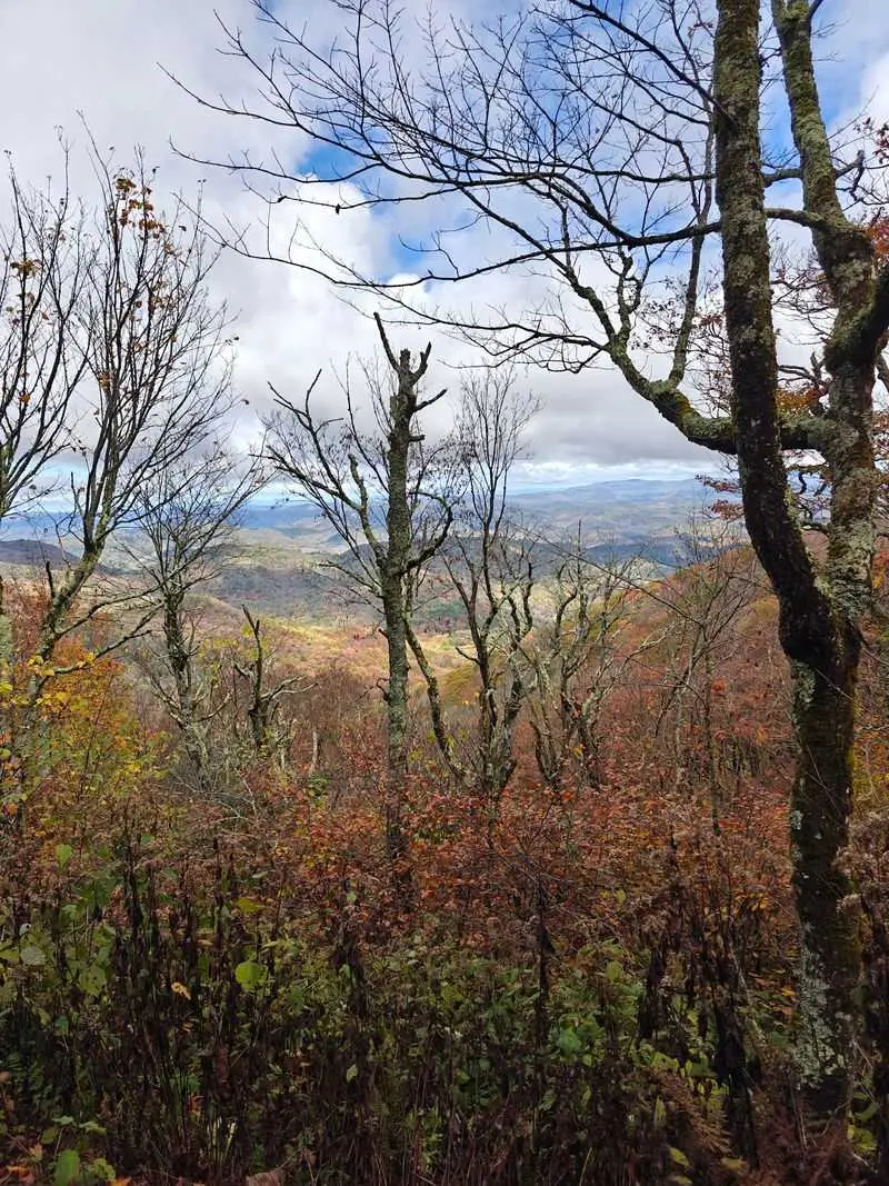 Elk Knob State Park - Todd