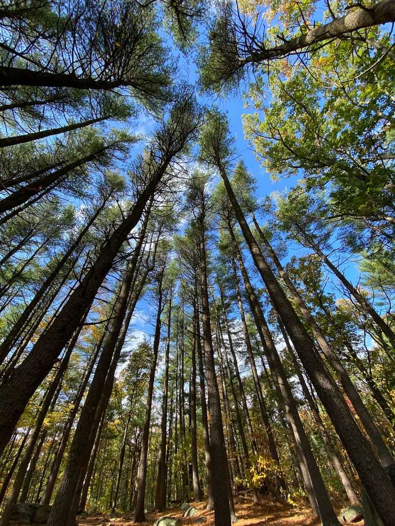 Purgatory Chasm State Reservation