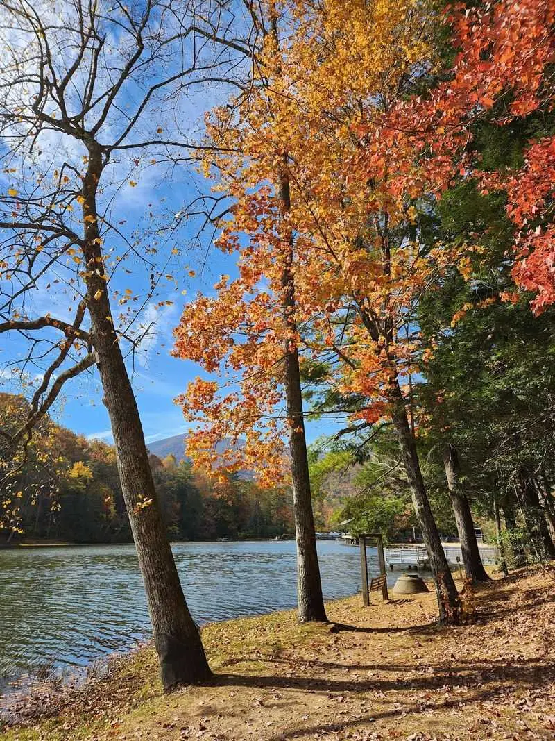 A Classic Lake Framed in Gold: Vogel State Park, Blairsville, Union County,