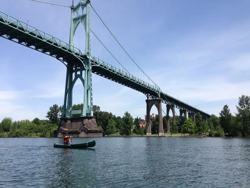 Boats, Docks, And A Surprise Visitor In The River
