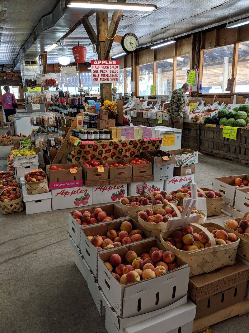 Gross Orchard, Bedford, VA