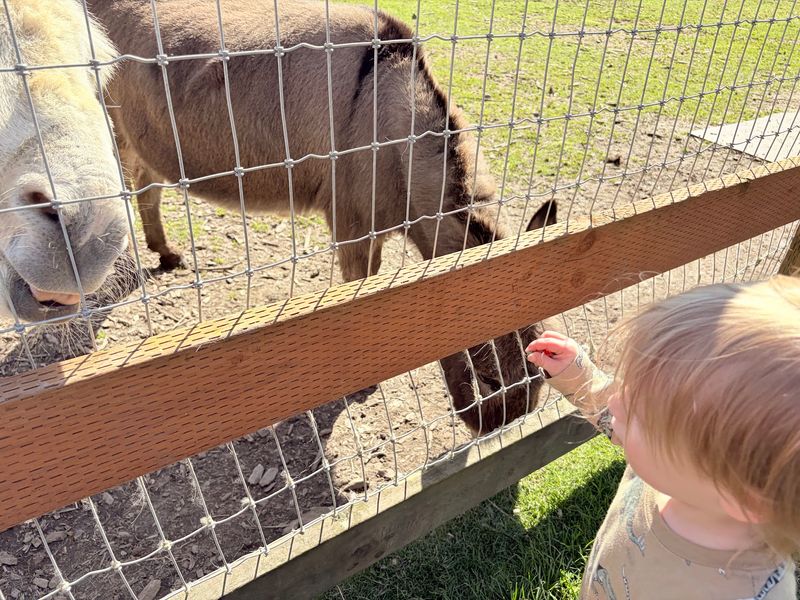 A Free Day Out That Gives Back Every Time