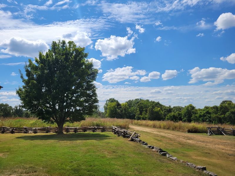 Free Admission, Daily Hours, And An Easy Drive From Springfield