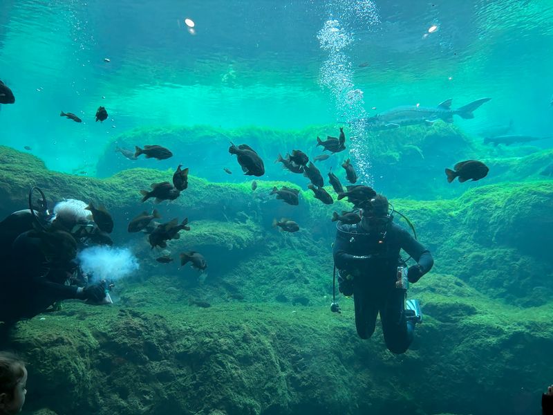 Flint RiverQuarium