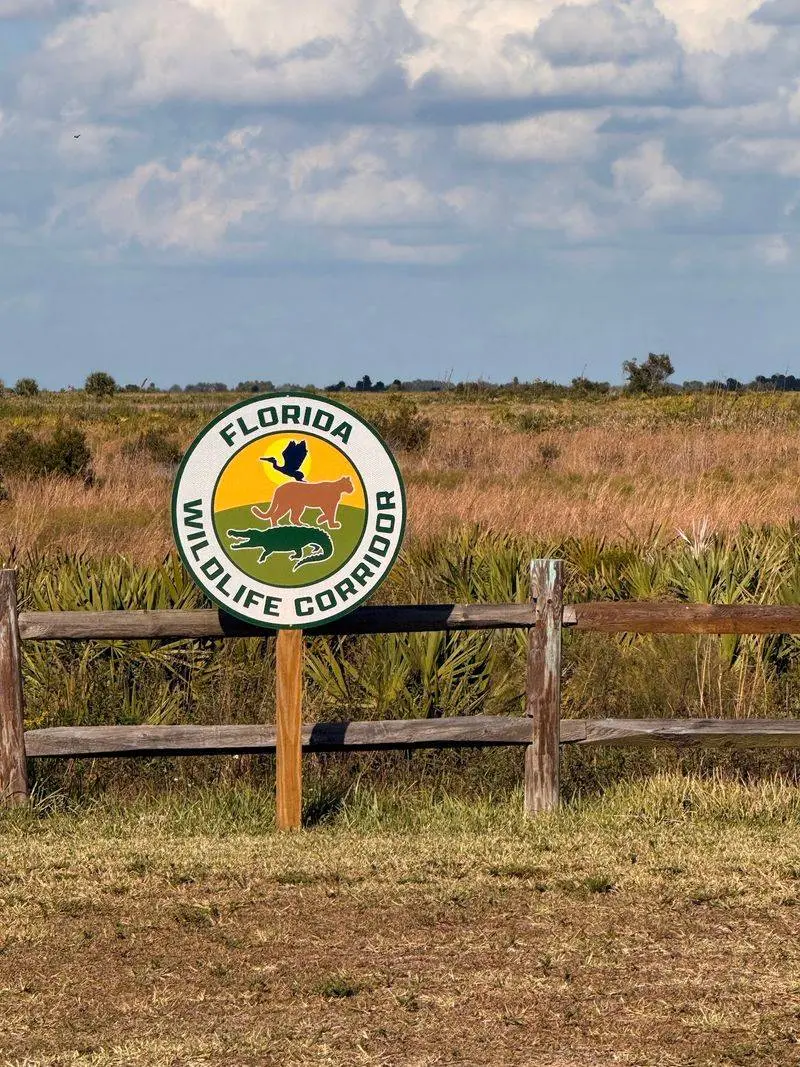 Kissimmee Prairie Preserve State Park - Okeechobee
